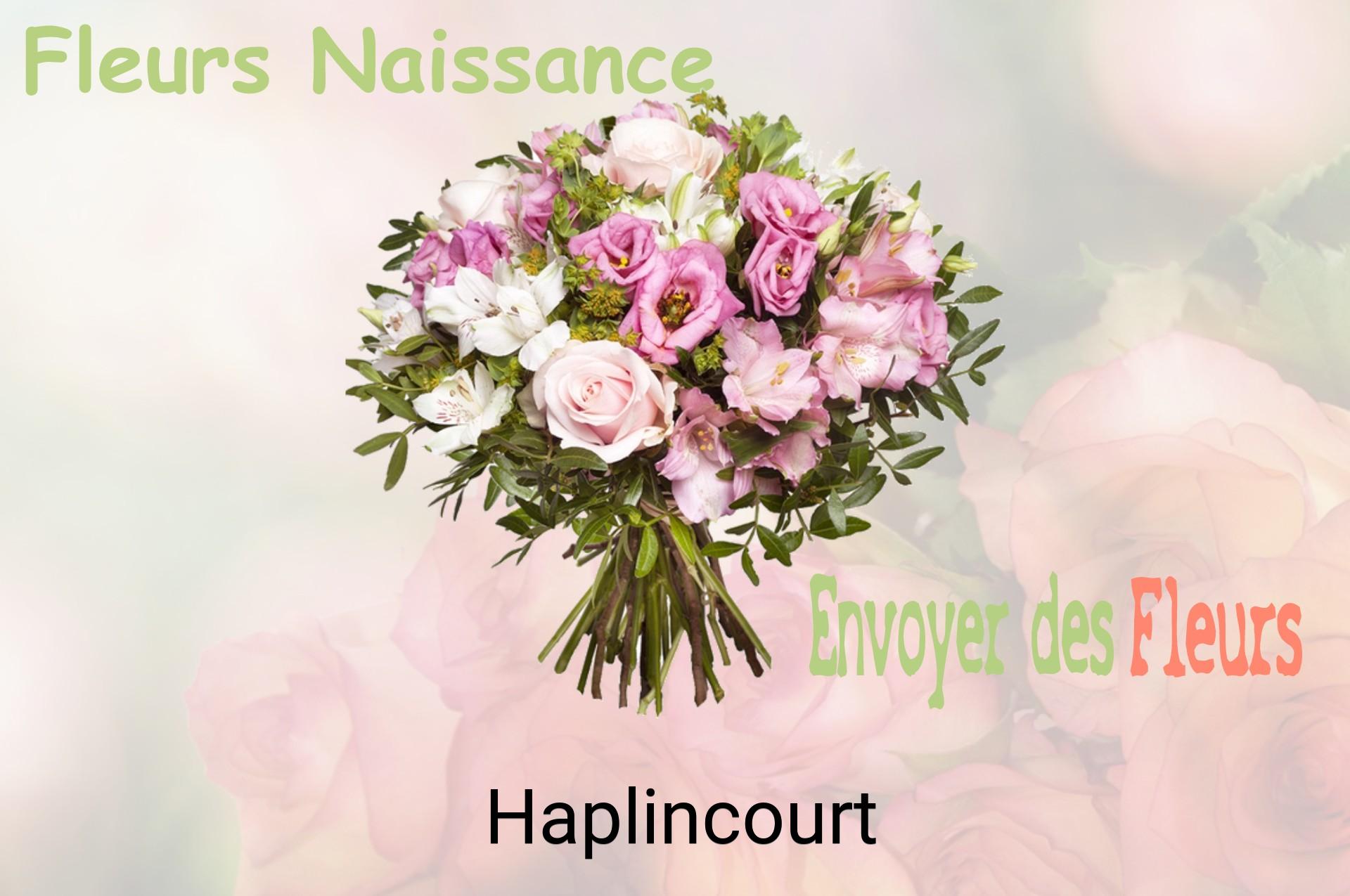 Bouquet de fleurs de naissance livré à Haplincourt