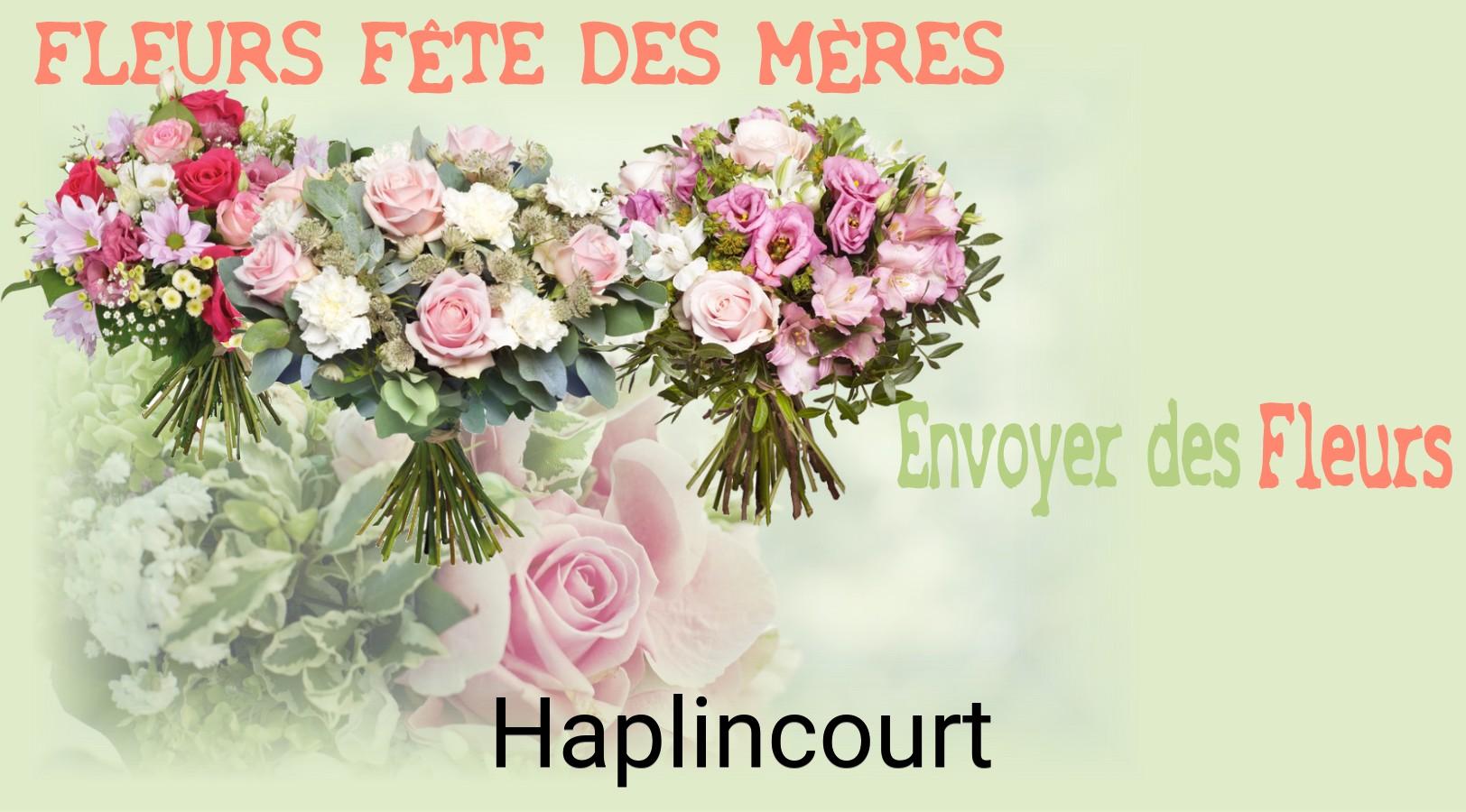 Bouquet de Fête des Mères livré à Haplincourt